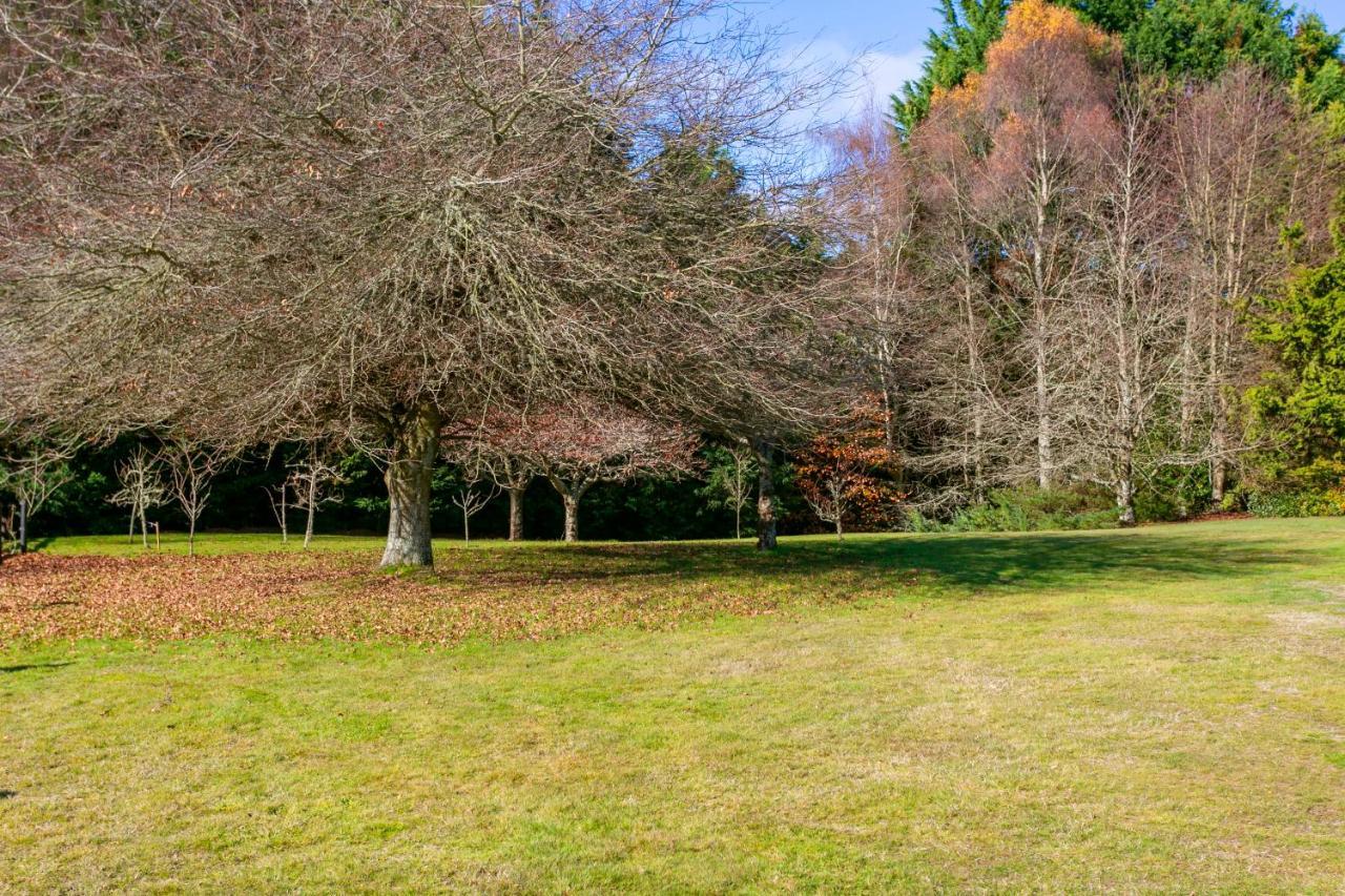 Lupin Lodge Bed & Breakfast タウポ エクステリア 写真